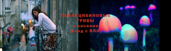 молекула духа Аркадак