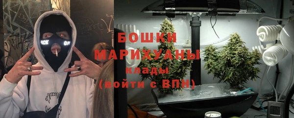 молекула духа Аркадак