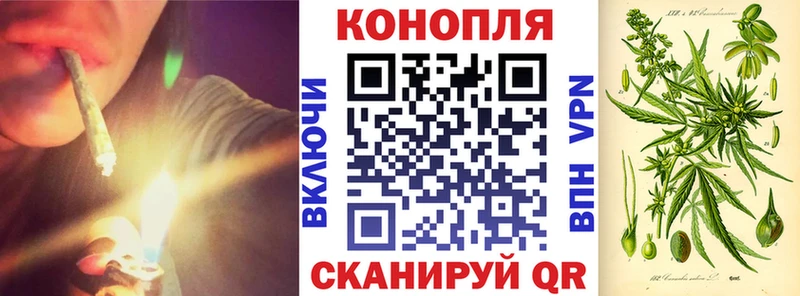 Шишки марихуана конопля  что такое   Сасово 